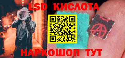 apvp Камышлов
