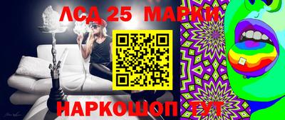 apvp Камышлов