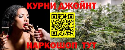 apvp Камышлов