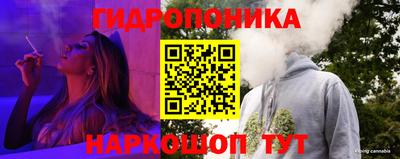 ПСИЛОЦИБИНОВЫЕ ГРИБЫ Канаш