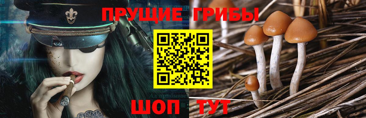 Галлюциногенные грибы MAGIC MUSHROOMS  Вход с VPN  Курчатов 